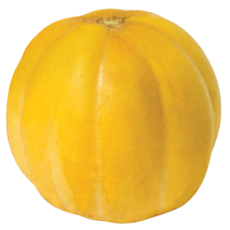 Fruta melao gaúcho ao kg