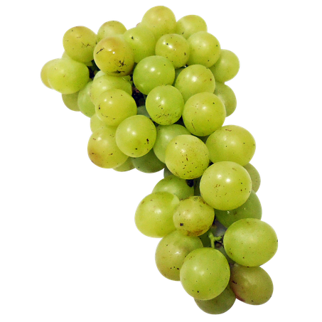 UVA THOMPSOM SILVESTRIN SEM SEMENTE BANDEJA 500G