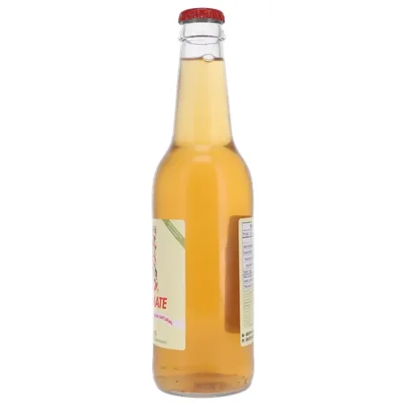 Chá Mate Baer-Mate com Gás Cafeína Natural 350ml 360-8