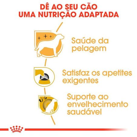 Ração Seca Royal Canin para Cães Adultos da Raça Yorkshire 2,5Kg 360-1