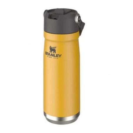 Garrafa term stanley flip safron 651ml