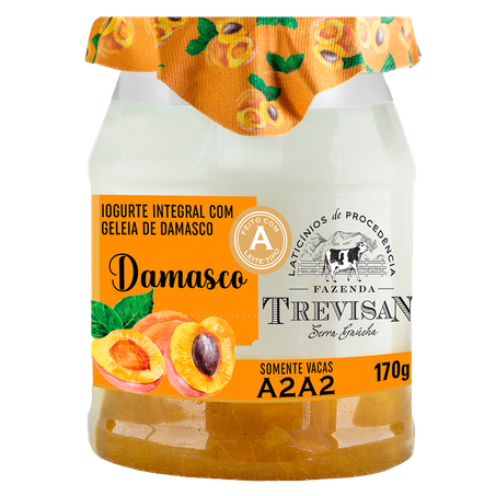 Iogurte Trevisan Integral Geléia de Damasco 170g