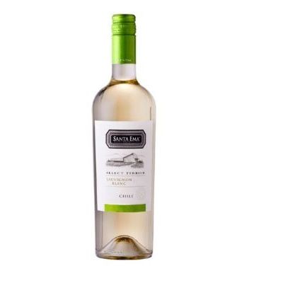 Vinho branco sauvig terroi santa ema 750ml