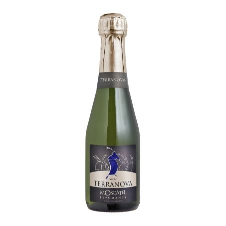 ESPUMANTE TERRA NOVA 250ML