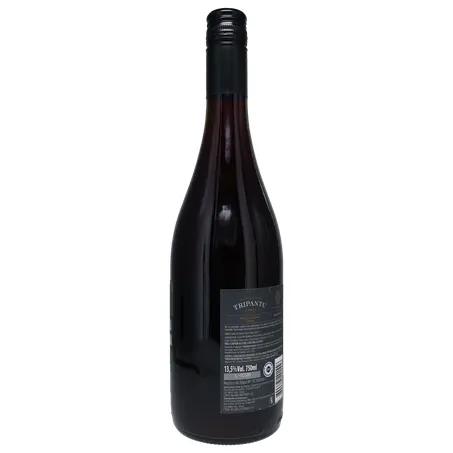 Vinho Tinto Chileno Tripantu Reserva Pinot Noir 750ml  360-14