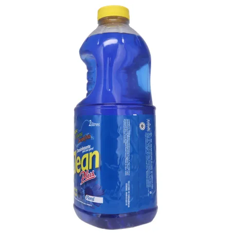 Desinfetante clean plus floral 2lt 360-24