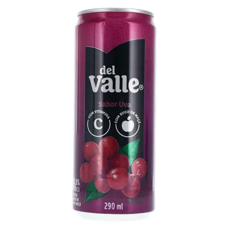 Suco Del Valle Uva Lt 290ml 360-0