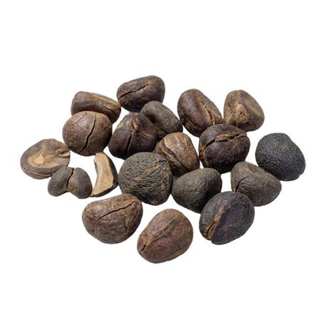 NOZ DE COLA MADEIRA 100G