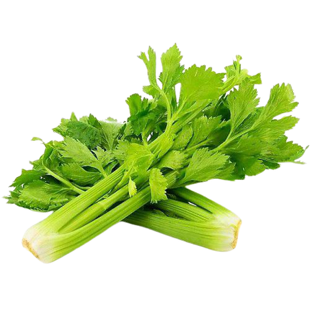 SALSAO UN