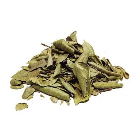 Boldo do Chile Gran Villar 15g