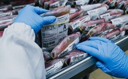SC tem crescimento de 4,1% nas doações de sangue em 2023