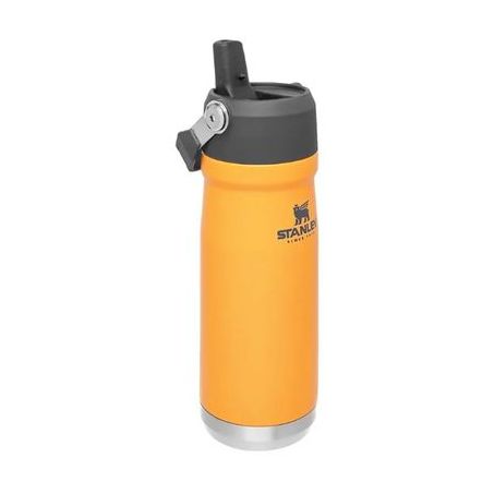 Garrafa termica stanley flip straw 651ml