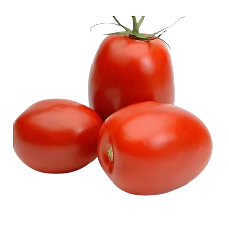 Tomate saladete kg