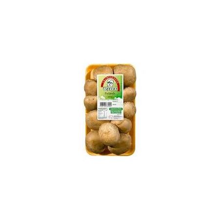 COGUMELOS PORTOBELLO TUPPAN 500G