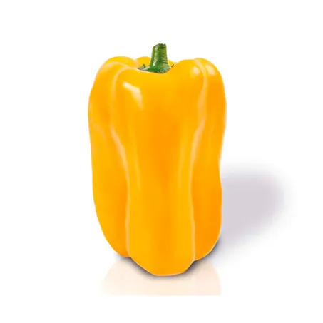 PIMENTÃO AMARELO 360-1