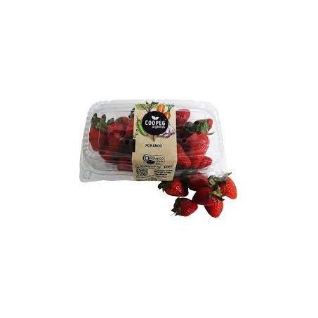 Morango Orgânico Bandeja 300g