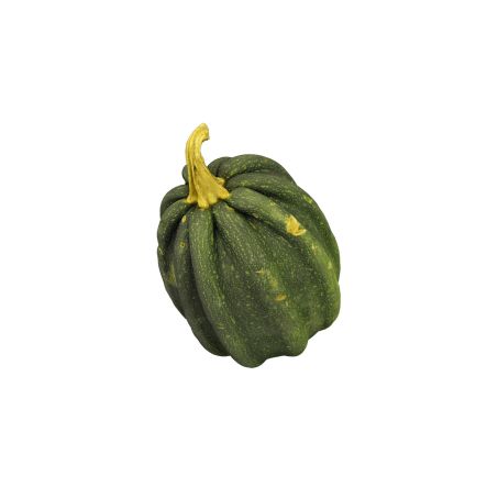 Horti mogango