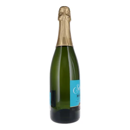 ESPUMANTE SALTON SERIES MOSCATEL 750ML 360-29