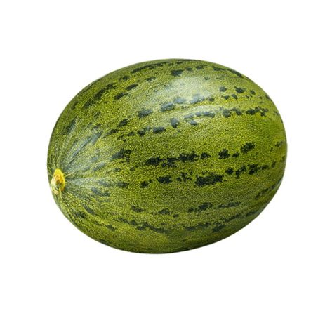 MELAO SAPO KG