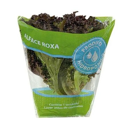 Alface roxa DÁgua hidropônica un