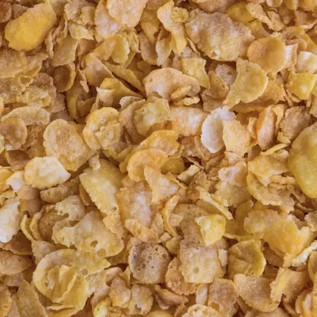 FLOCOS DE MILHO COCO KG