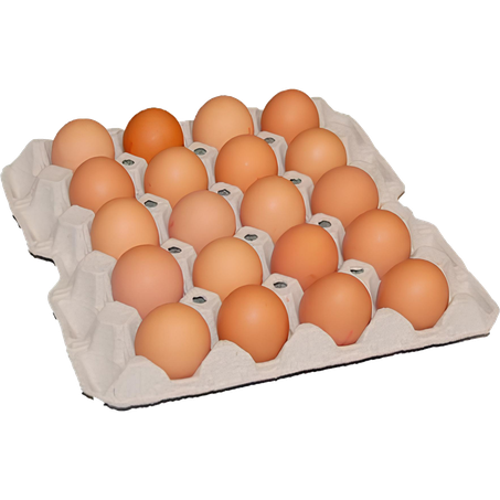 Ovos vermelhos nienow c/20un