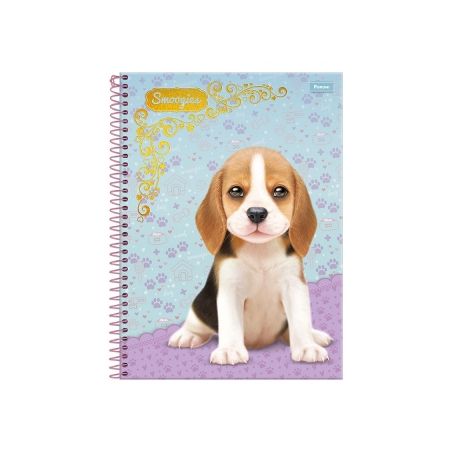 Caderno Foroni Smoogies Capa DuraMatéria 96 Folhas 1UN