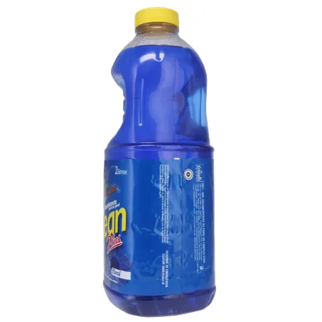 Desinfetante clean plus floral 2lt 360-25