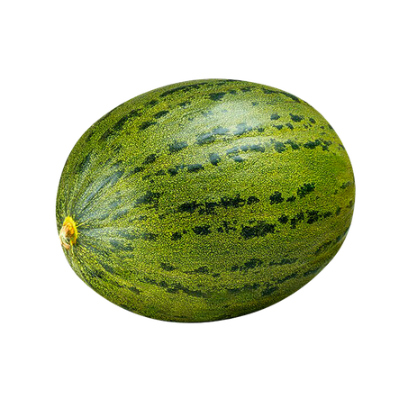 Melao sapo kg