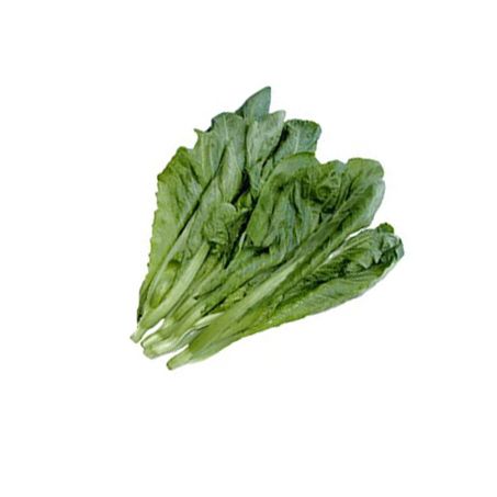 Mostarda molho un