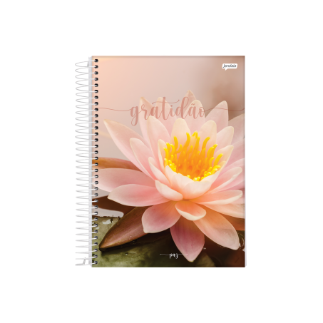 Caderno espiral universitario capa dura 10m paz 160fl