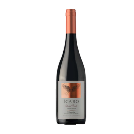 Vinho Espanhol Ícaro Selecion 750ml