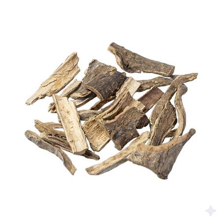 MULUNGU CASCA 100G
