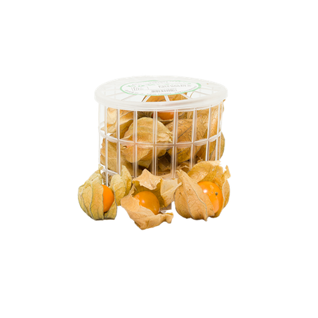 PHYSALIS PREMIUM 100G FLOR/FRUTO