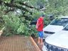 Fortes ventos derrubam árvores e danificam carros em Itapiranga
