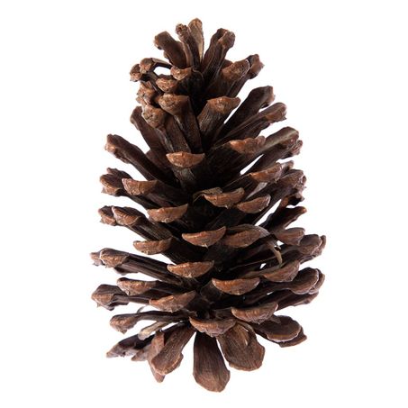 Pinha Natural Kifogo 1k