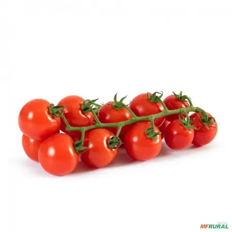 Horti tomate rama 500g