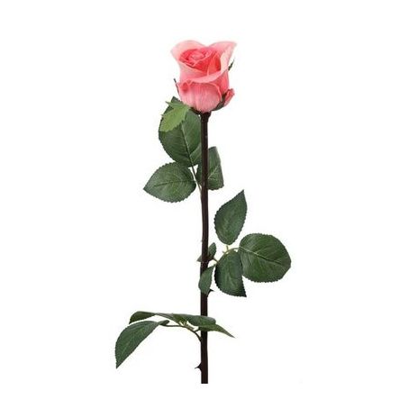 Flor rosa botao
