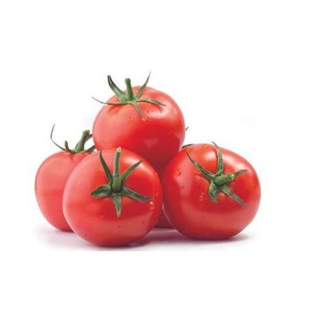 TOMATE COCKTAIL BDJ KG
