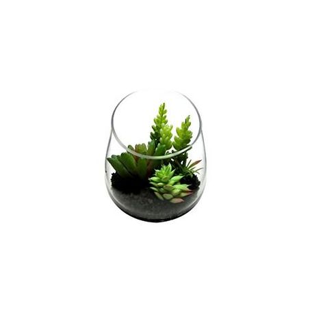 Mini Cactus P06 Unidade