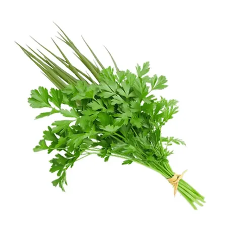 CHEIRO VERDE MAÇO