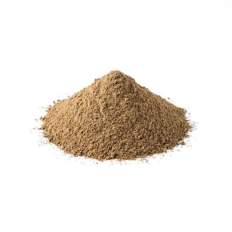GARRA DO DIABO EM PÓ 100G