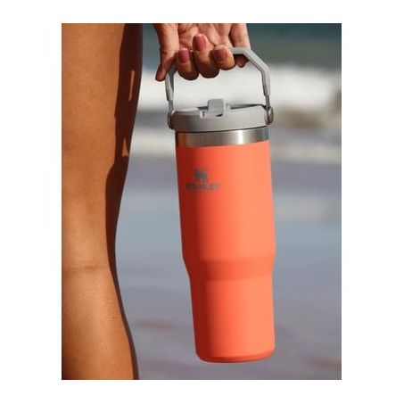 Garrafa termica stanley flip guava 887ml 360-2