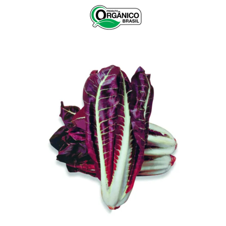 RADITIO PIEMONTESE ORGANICO 350G
