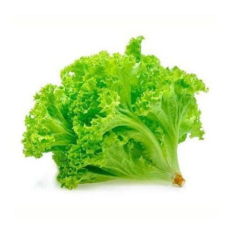 Alface crespa un