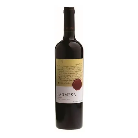 Vinho Chileno Promesa Syrah 750ml
