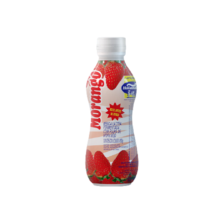 BEBIDA LÁCTEA HOLANDÊS MORANGO GARRAFA