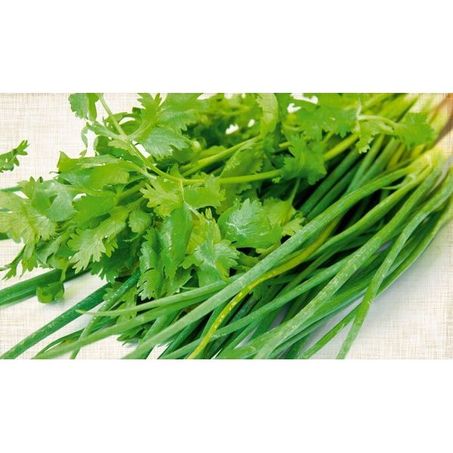 TEMPERO VERDE CEB/SALSA