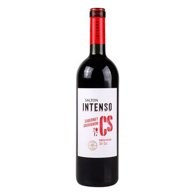 Vinho intenso cab.sauv. salton 750ml