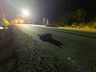VÍDEO: Homem morre atropelado na BR-282 entre SMO e Maravilha